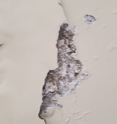 SALA (5)